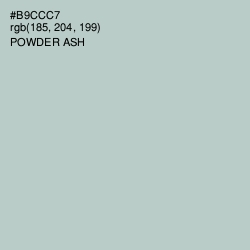 #B9CCC7 - Powder Ash Color Image
